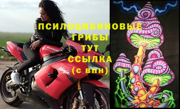бутират Арсеньев