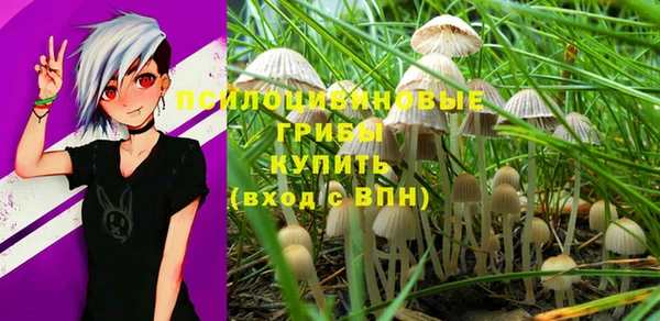 бутират Арсеньев