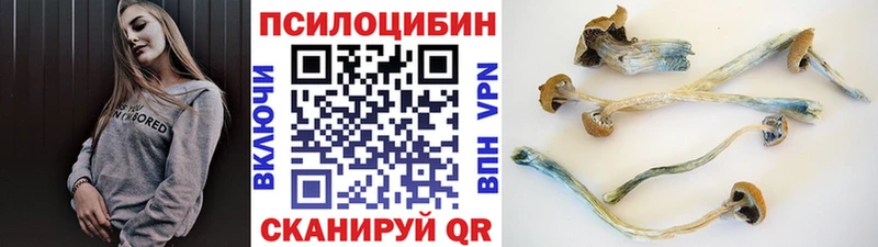 Галлюциногенные грибы ЛСД  Холмск 