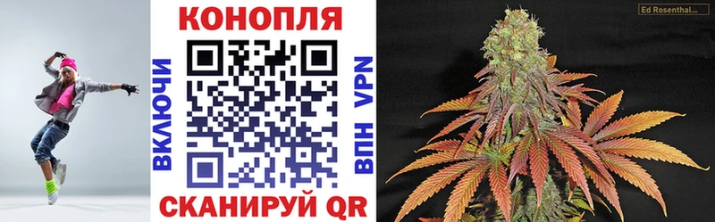 Бошки марихуана THC 21% где найти Холмск
